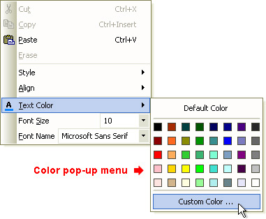 Prof-UIS Frame Features ActiveX control: Color pop-up menu