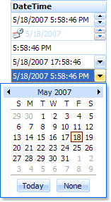 Date and Time grid cell