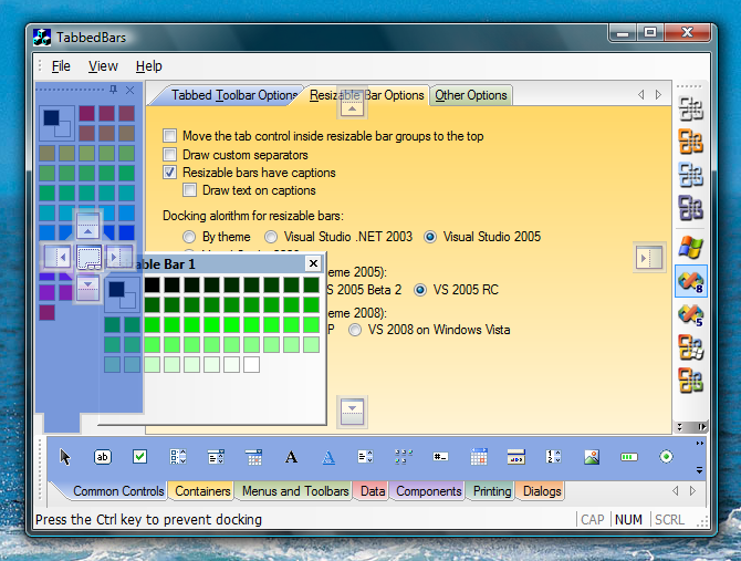 Visual Studio 2005  Docking Markers when docking a control into a tabbed container