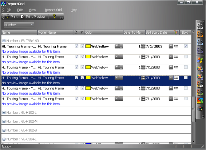 A report grid with the Black Diamond skin applied.