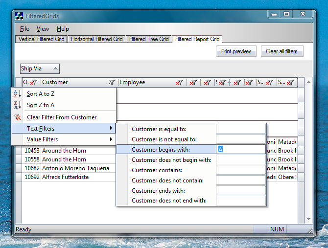 MFC Prof-UIS Grids - Text Filters